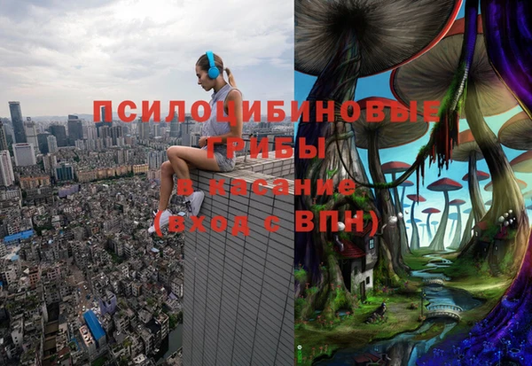 а пвп мука Инсар