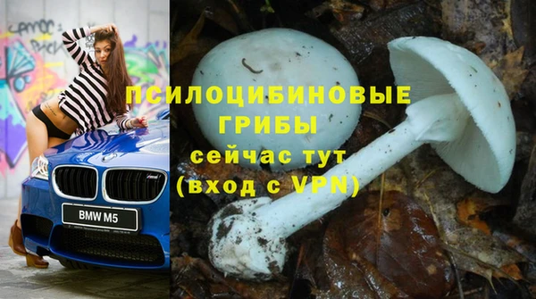 стафф Абинск