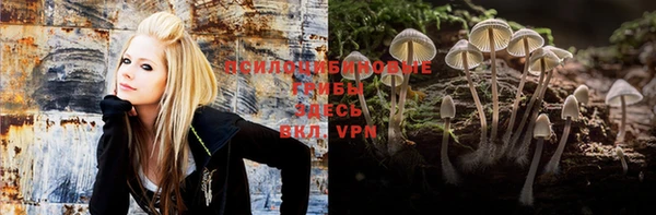 индика Абдулино