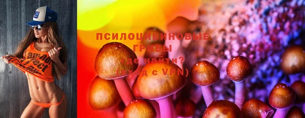 стафф Абинск
